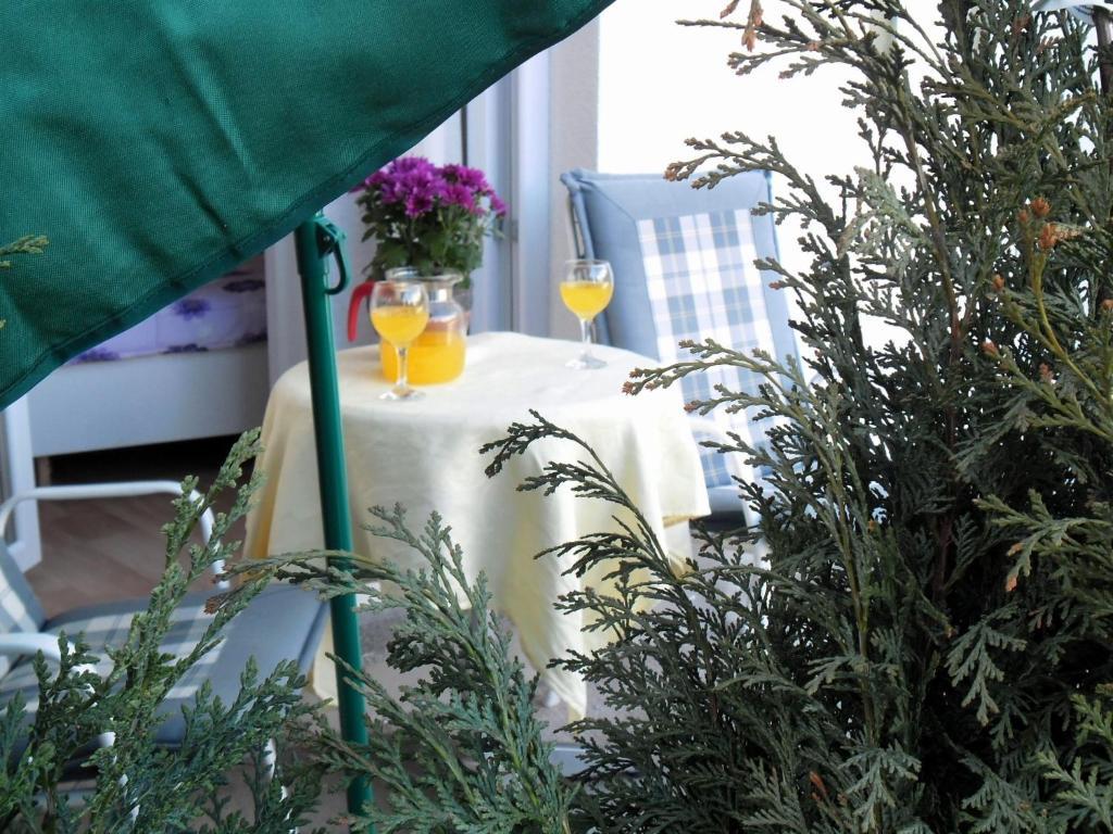 Kestenovi Dvori Apartman